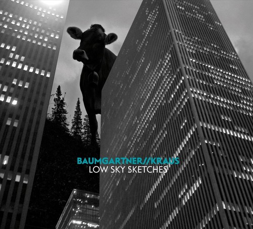 Baumgartner kraus low sky - kraus,