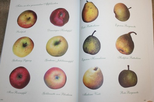 Fachbuch obstbau garten - im,